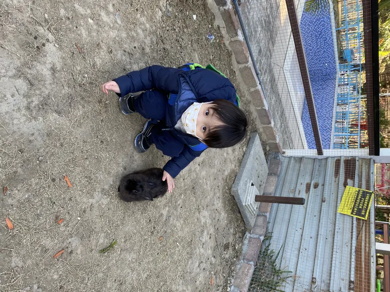 溫柔對待動物的好孩子
