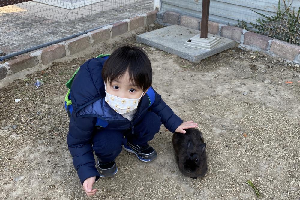 溫柔對待動物的好孩子